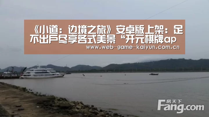 开云体育APP安卓版